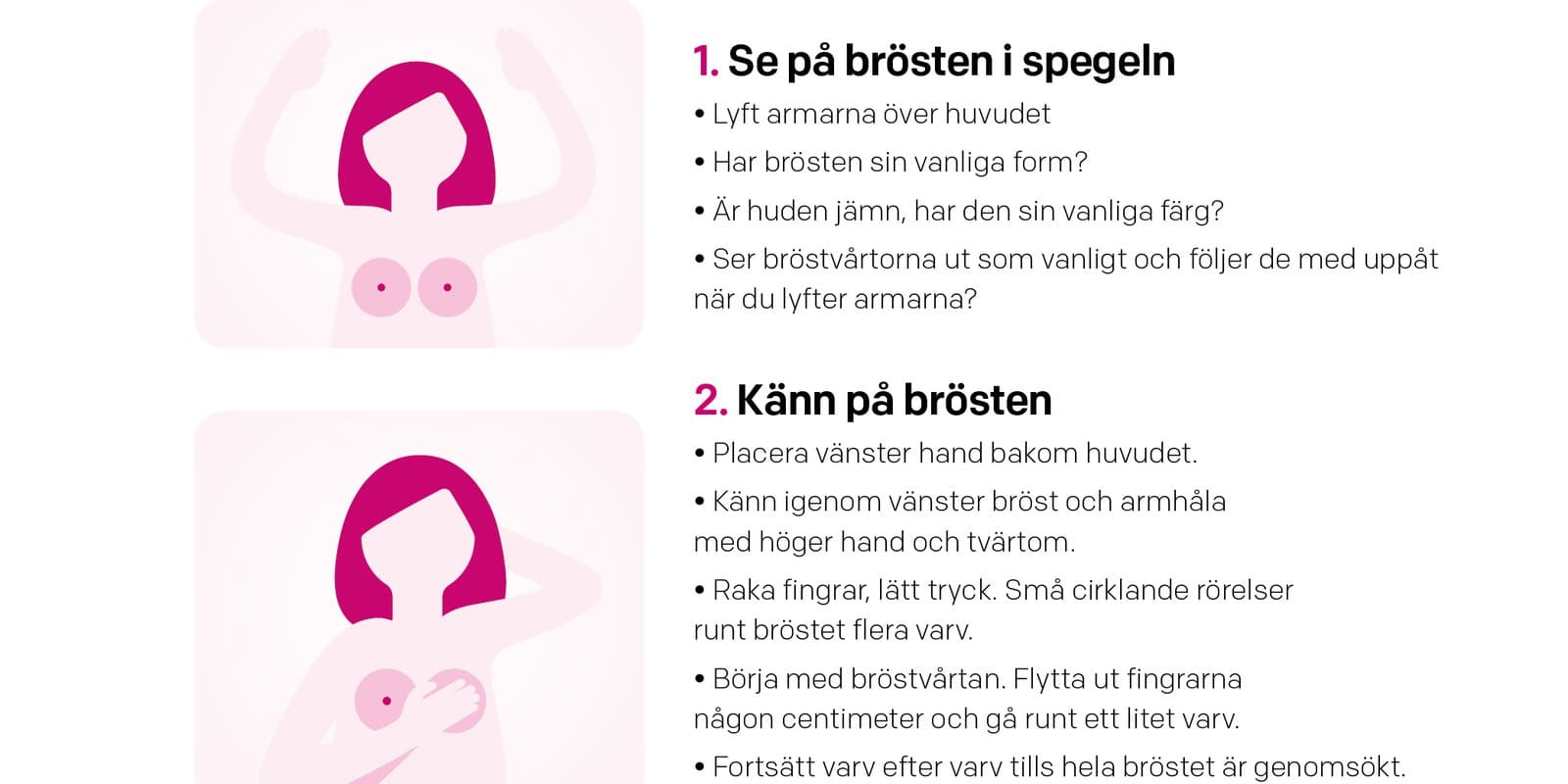 bröstskola1.jpg