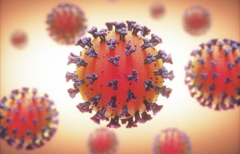 coronavirus.jpg